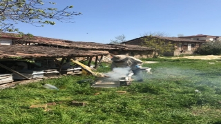 Memleketine dönemeyen Şehri dedenin arı kovanlarına görevliler bakıyor