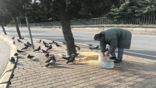 Kuşlar yolunu gözlüyor