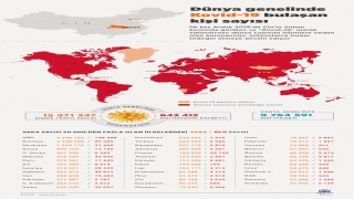 GRAFİKLİ Dünya genelinde Kovid19 tespit edilen kişi sayısı 15 milyon 947 bini geçti