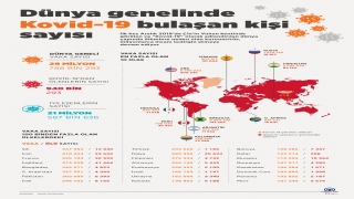 GRAFİKLİ Dünya genelinde Kovid19 tespit edilen kişi sayısı 29 milyon 753 bini aştı