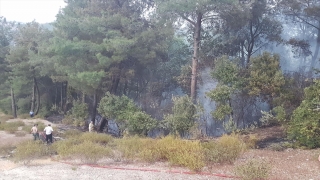 Osmaniye’de çıkan orman yangını büyümeden söndürüldü