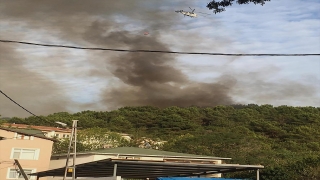 GÜNCELLEME Beykoz’da ormanlık alanda yangın