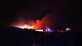 Sinop’ta çıkan orman yangını söndürüldü