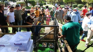 Gaziantep Hayvanat Bahçesi’nde ”Şempanze Adası” açıldı