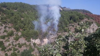 Hatay’da çıkan orman yangını kontrol altına alındı