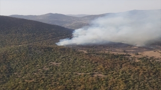 Manisa’da orman yangını