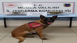 Muğla’da 2 kilo 912 gram esrar ele geçirildi