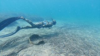 Bodrum’da dalgıçlardan deniz dibi temizliği