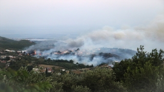 Hatay’daki orman yangınına karadan müdahale sürüyor