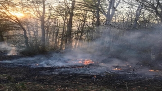 Ordu’da orman yangınına müdahale eden kişi yaşamını yitirdi