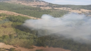 GÜNCELLEME Adana’da çıkan orman yangını kontrol altına alındı