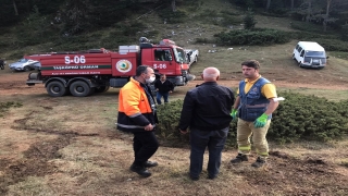 Kastamonu’daki 2 yangında yaklaşık 45 hektar ormanlık alan zarar gördü