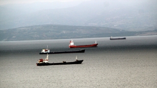 Yük gemileri rüzgar nedeniyle güvenli sığınak Sinop doğal limanına demirledi