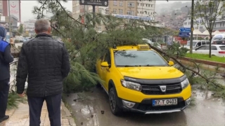 Zonguldak’ta ağacın taksinin üzerine devrilmesi güvenlik kamerasına yansıdı