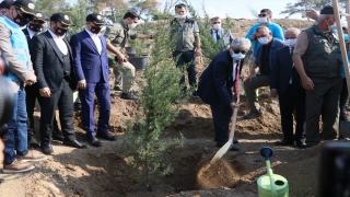 Hatay’da yanan ormanlık alanlar Milli Ağaçlandırma Günü’nde fidanla buluştu