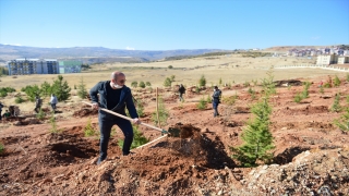 Doğu Anadolu’da fidanlar toprakla buluştu