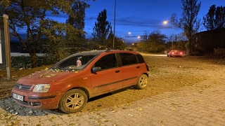 Erzurum’da kesilen ağacın üzerine devrildiği seyir halindeki otomobilde hasar oluştu