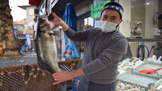 Karadeniz’de ağlara takılan 8 kilogramlık levrek 1040 liradan satışa sunuldu