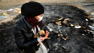 Konya’da kulübesi yakılarak telef edilmiş 9 yavru köpek bulundu