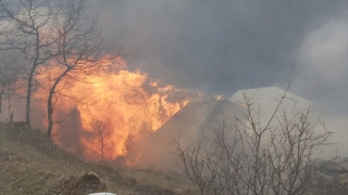 Rize’de Gölyayla köyünde çıkan yangına müdahale ediliyor