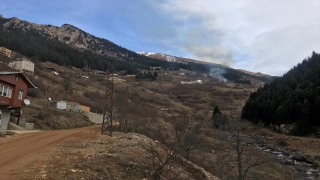 GÜNCELLEME Rize’de Gölyayla köyünde çıkan yangına müdahale ediliyor