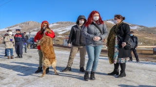 Dondurucu soğuğun etkili olduğu Van’da sokak hayvanlarına yem bırakıldı