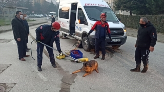 Düzce’de servis minibüsünün altında kalan yaralı köpek kurtarıldı