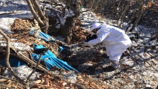 Siirt kırsalında PKK’lı teröristlere ait silah ve mühimmat ele geçirildi