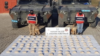 Hakkari’de 48 kilogram eroin ele geçirildi