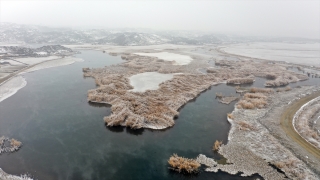 Ağrı Dağı Milli Parkı kış güzelliğiyle göz kamaştırıyor