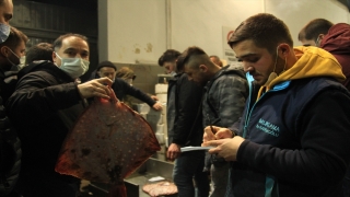 Samsun’da balık halinde yasak öncesi son mezatta hamsi yoğun ilgi gördü