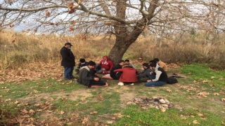 Mersin’de 14 düzensiz göçmen yakalandı