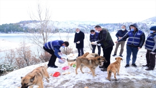 Ankara’da sokak ve yaban hayvanları için yem bırakıldı