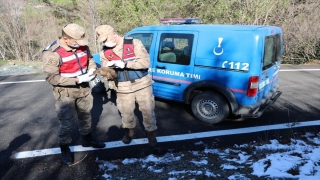 Hatay’da jandarmanın bulduğu yaralı şahin tedaviye alındı