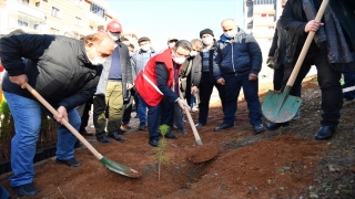 Trabzon’da kan bağışçılarının ismi hatıra ormanındaki fidanlarda yaşayacak