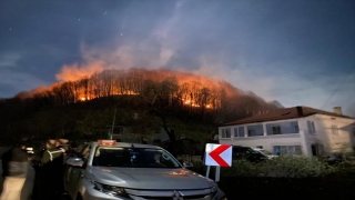 Ordu’da çıkan örtü yangınları söndürüldü