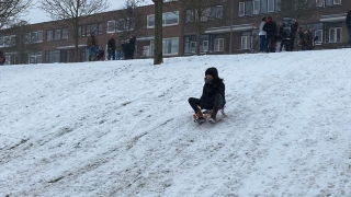 Hollanda’da kar fırtınası hayatı olumsuz etkilemeye devam ediyor