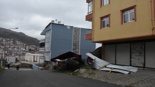 Ordu’da fırtına nedeniyle çatılar uçtu, ağaç devrildi