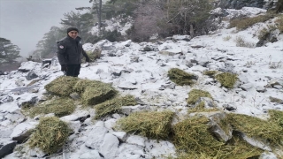 Yaban hayatı ve doğanın koruyucu bekçileri kaçak avcılıkla mücadele ediyor