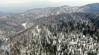 Düzce ve Bolu’nun yüksek kesimleri beyaza büründü