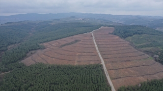 Bursalı 4 bin 92 Çanakkale şehidi için hatıra ormanı oluşturuldu