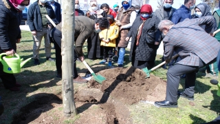 Üsküdar’da sahilde izinsiz kesilen ağaçların yerine yenileri dikildi