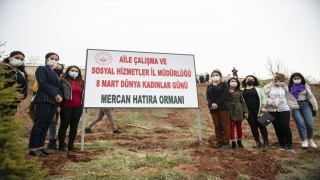 Tunceli’de kadına yönelik şiddetle mücadele kapsamında ’’Mercan Hatıra Ormanı’’ oluşturuldu