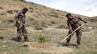 Ağrı’da polisler şehit meslektaşlarının anısına fidan dikti 