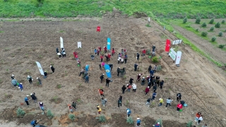 Edirne’de kadına yönelik şiddetle mücadele kapsamında başlatılan ”Mercan Seferberliği”nde fidanlar toprakla buluştu