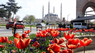 Edirne, açan rengarenk lalelerle güzelliğini taçlandırdı