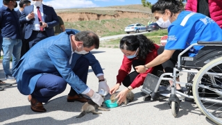 Sivas Valisi Ayhan hayvanseverlerle sokaktaki ”can dostları”nı yemleme çalışmasına katıldı