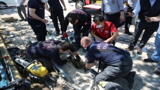 Kocaeli’de itfaiye ekipleri yavru köpeği sıkıştığı su kanalından kurtardı