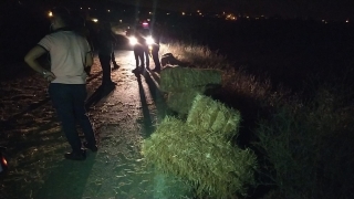 Adana’da seyir halindeki traktör römorkundan düşen kişiyi yoldan geçen vatandaş buldu