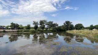 Tunca Nehri’nde su seviyesi yer yer 30 santimetreye kadar düştü